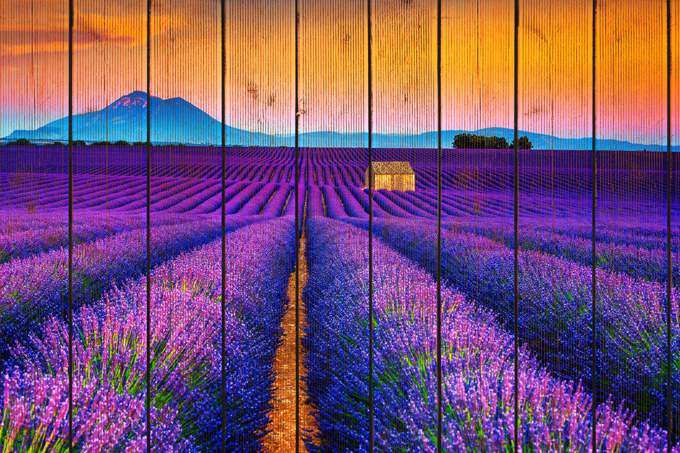 Faux Wood Lavender Fields and Sunset Landscape Framed Photo Paper Wall Art Print, White, 8" X 10"