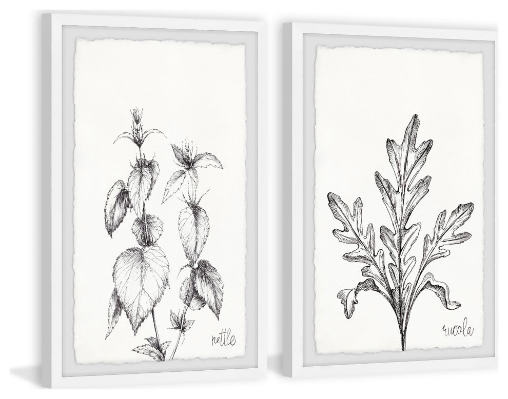 Nettle and Eucola Diptych, 2-Piece Set, 20x30 Panels