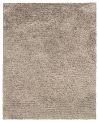Oriental Weavers Cosmo Collection Beige Solid Indoor Area Rug 3'3"X5'3"