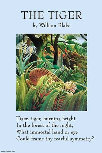 The Tiger - Gallery Wrapped Canvas Art 28" x 42"