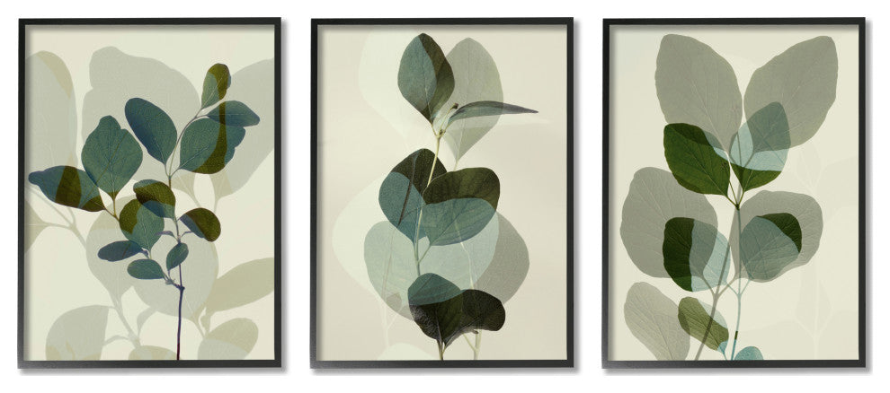 Modern Forest Plant Photography Overlapping Foliage Shadows,11 x 14