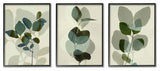 Modern Forest Plant Photography Overlapping Foliage Shadows,11 x 14