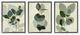 Modern Forest Plant Photography Overlapping Foliage Shadows,11 x 14