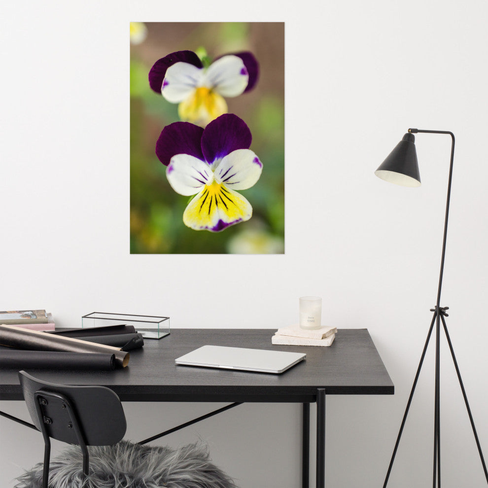Pretty Little Violets Floral / Botanical Photograph Unframed Wall Art Prints, 24" X 36"