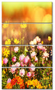 Beautiful Multi Color Flowers, Floral Canvas Art Print, 28"x48", 4 Panels