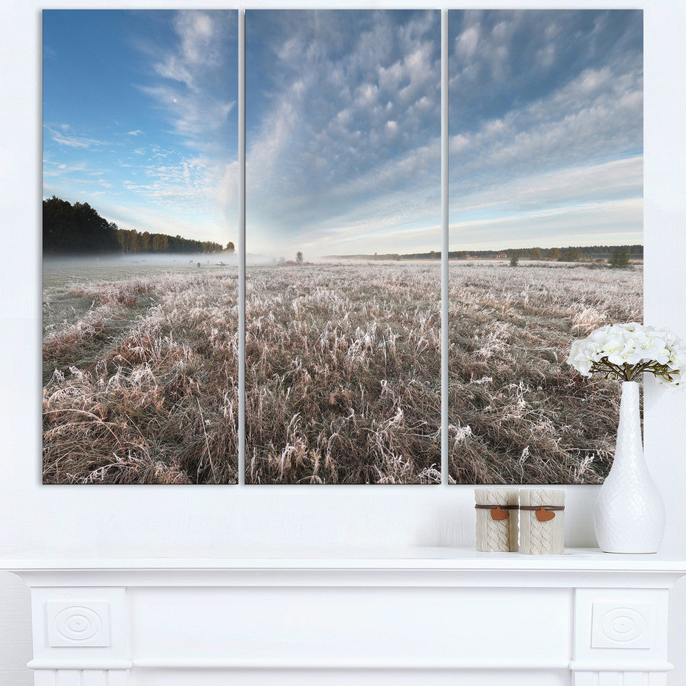"Autumn Hoarfrost on Grass" Metal Wall Art, 3 Panels, 36"x28"