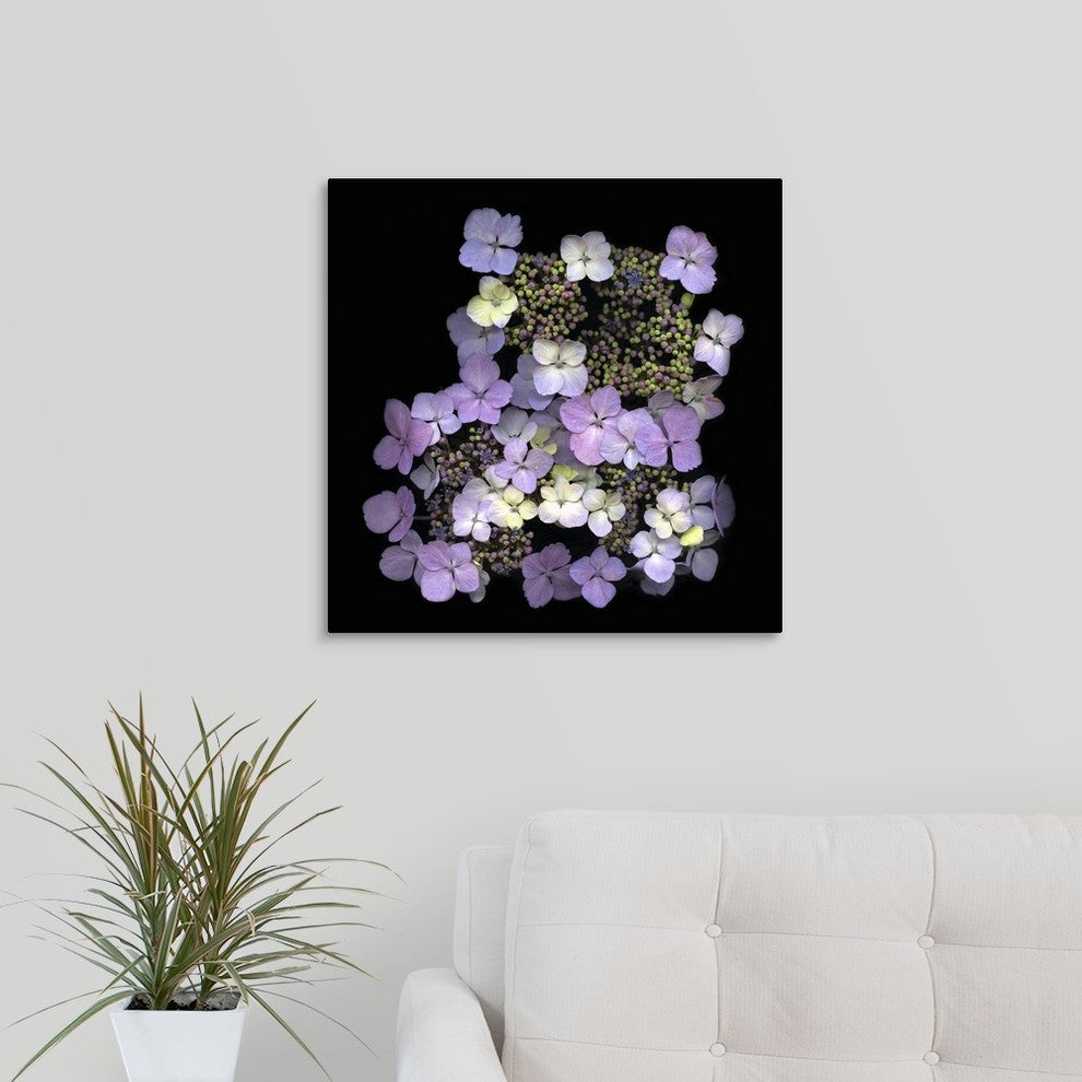 "Hydrangea" Wrapped Canvas Art Print, 20"x20"x1.5"