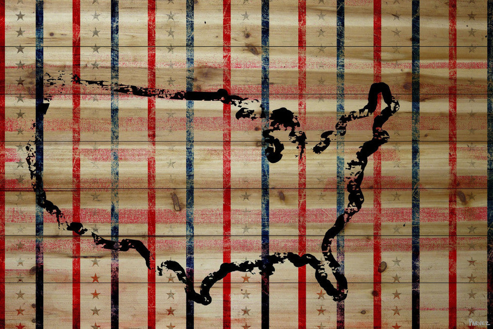 "USA Stripes" Print on Natural Pine Wood, 45"x30"
