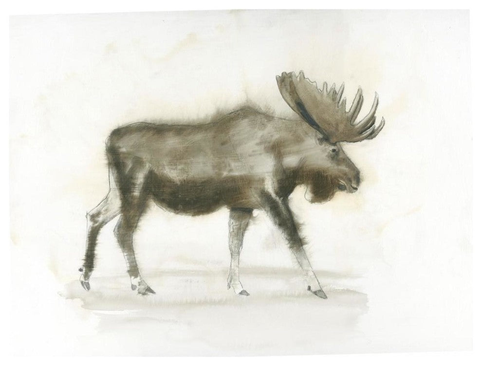 "Dark Moose" Digital Paper Print by James Wiens, 42"x32"