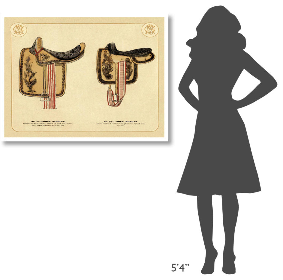 "Saddles and Tack: Ladies' Saddles #4" Digital Paper Print, 42"x32"