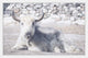 Marmont Hill, "Laying Still" Framed Painting Print, 18x12
