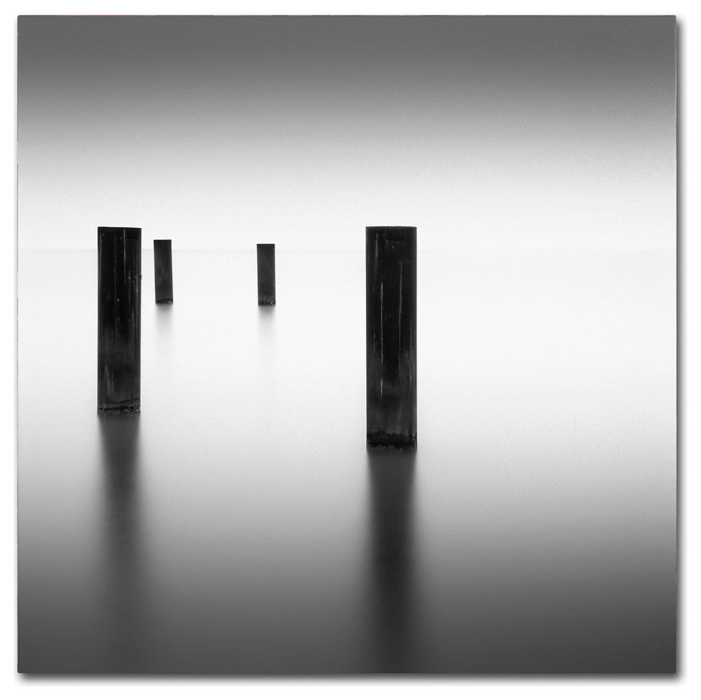 'Lucid' Canvas Art by Dave MacVicar