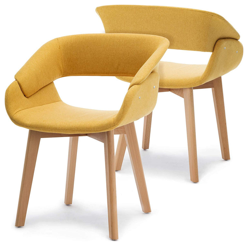 Modern Dining Room Chair Set of 2 for Kitchen