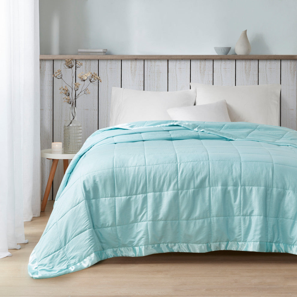 Madison Park Solid Embossed Microfiber Premium Oversized Blanket, Twin