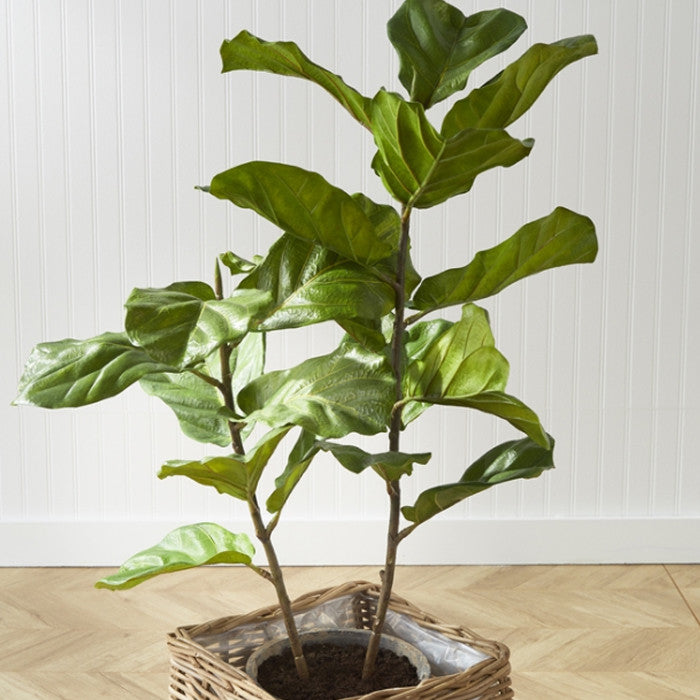Large Fiddle Leaf Fig Tree Faux Floral Plant Big Leaves Fruit 43 in Rustic Pot