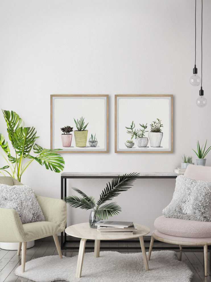 Vases of Succulents Diptych, Set of 2, 24x24 Panels
