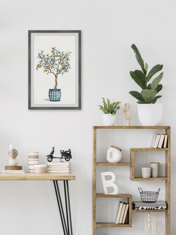 "Bonsai Orange Tree" Framed Painting Print