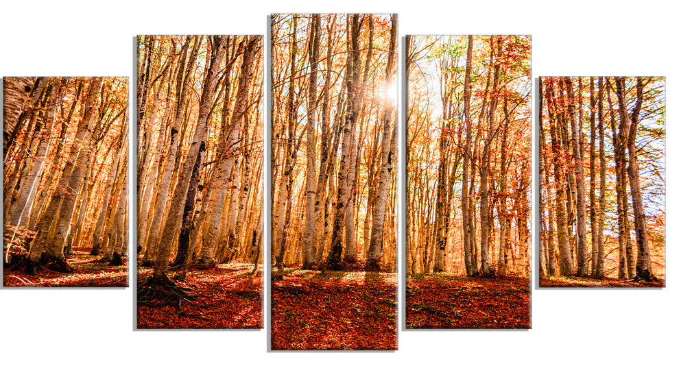 Bright Sun over Thick Fall Forest, Modern Forest Canvas Art, 60"x32", 5 Panels
