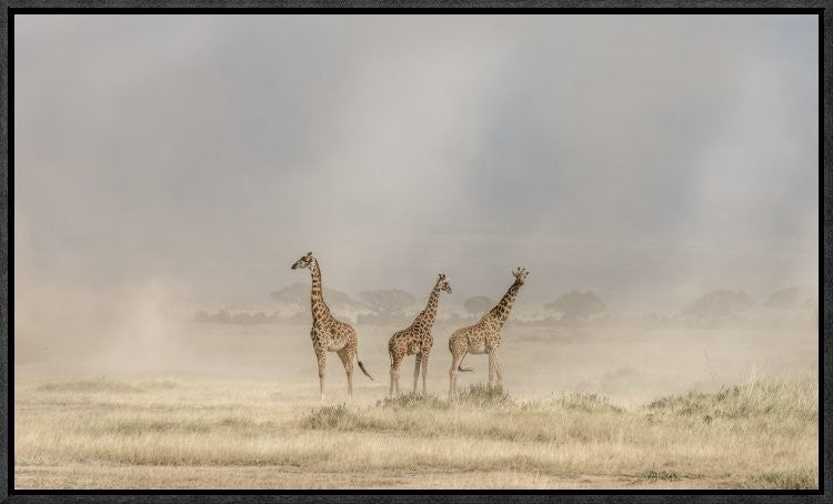 "Weathering The Amboseli Dust Devils"  by Jeffrey C. Sink, 23x14"