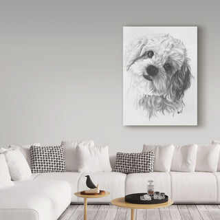 "Cavachon" by Barbara Keith, Canvas Art