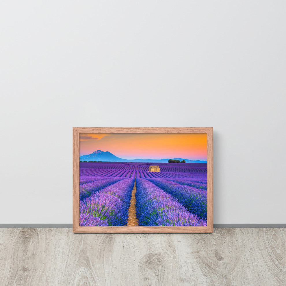 Blooming Lavender Field and Sunset Floral Landscape Framed Photo Wall Art Prints, Red Oak, 12" X 16"