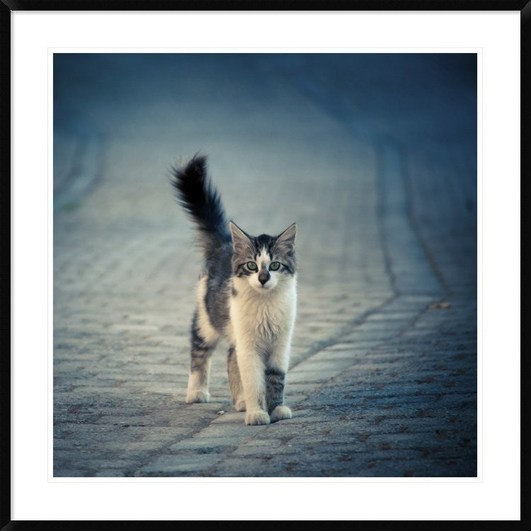 "Little One" Framed Digital Print by Dejan Ilijic, 38"x38"