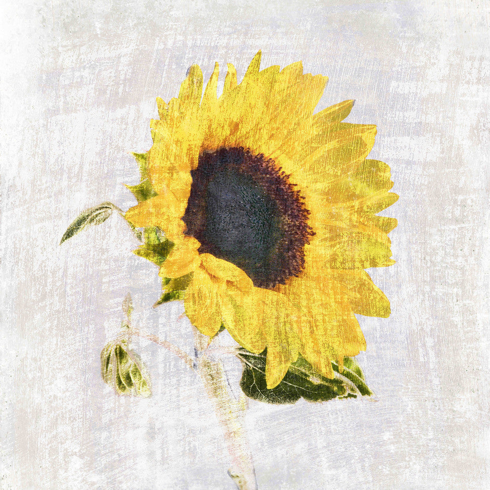 "Symphony III" Painting Print on Canvas by Aryai