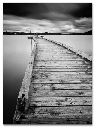 "Motchia" Canvas Art by Moises Levy