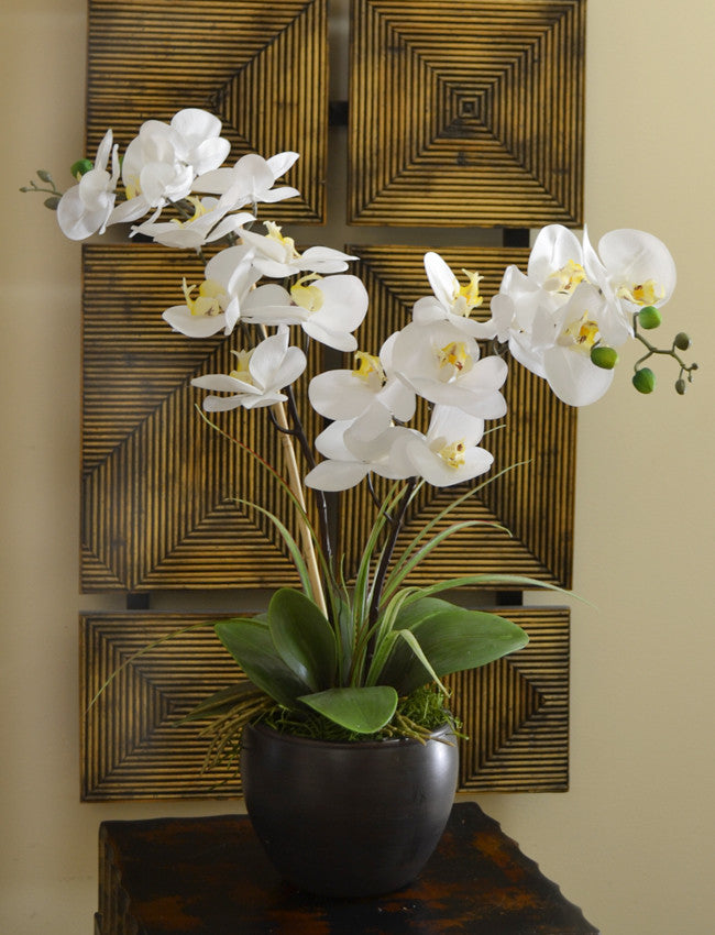 White Silk Orchid Design in Black Bowl