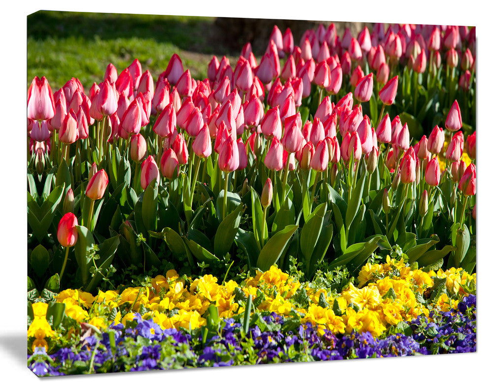 Tulip Garden with Yellow Flowers, Floral Canvas Art Print, 40"x30"