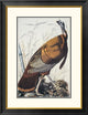 "Wild Turkey" Framed Digital Print by John James Audubon, 26"x34"