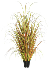 48" Mixed Brown Grass In Pot
