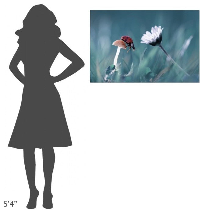 The Story Of The Lady Bug, 36"x24"