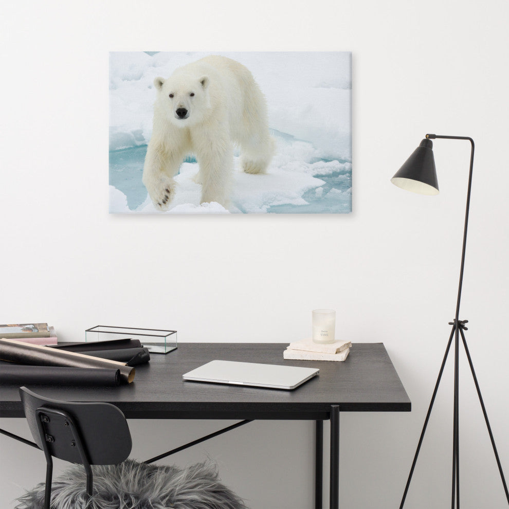 Giant White Polar Bear Walking On Icy Lake Wildlife Photo Canvas Wall Art Print, 24" X 36"