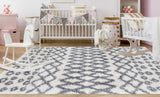 Noori Rug Shag Roy Ivory/Silver Rug