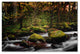 ''Eaux Vives in Gerardmer'' Canvas Art by Philippe Sainte-Laudy