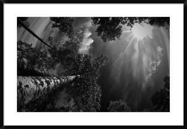 "Dreaming Before The Thunder" Framed Digital Print by Mikael Jigmo, 44x30"