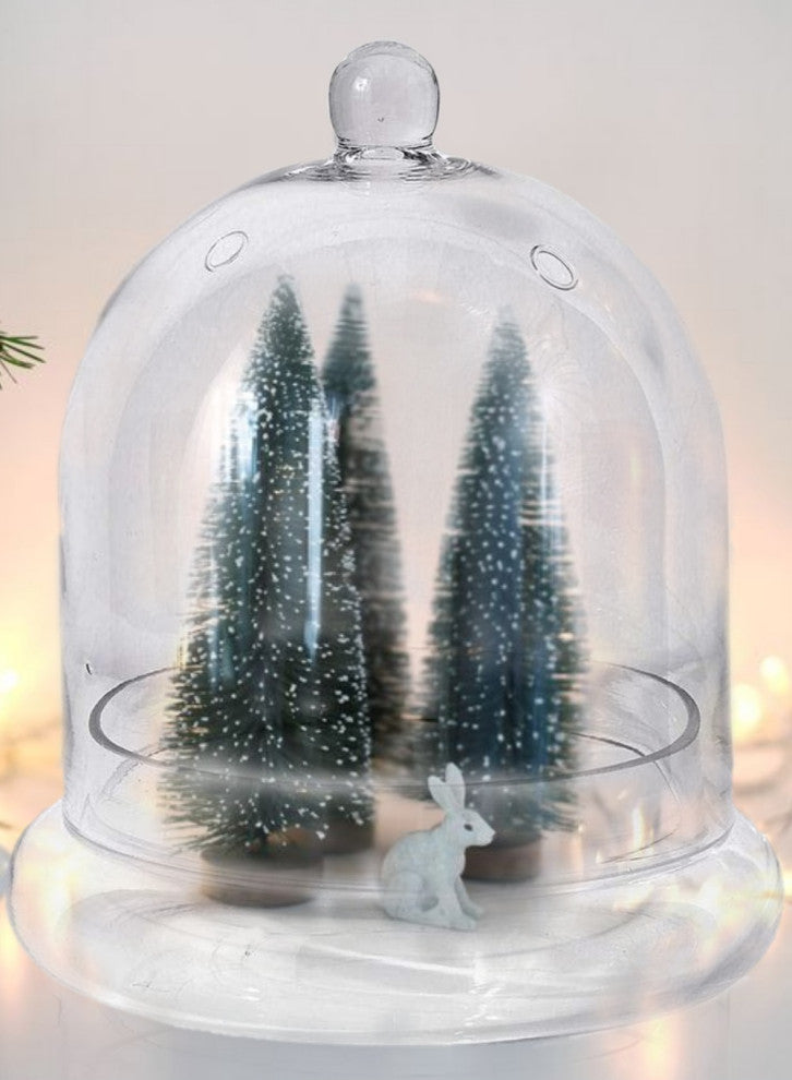 Serene Spaces Living Glass Cloche, Ideal as a Terrarium