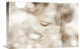 "Hi Lite" Stretched Canvas Giclee by Mel Brackstone, 22x15"