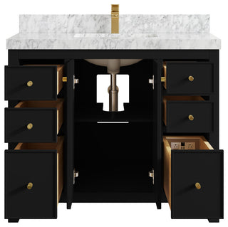 Chicago 42" Single Sink Bathroom Vanity, Black 2" Carrara Marble