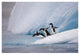 "Adelie Penguin trio diving off iceberg, Paulet Island" Paper Art, 38"x26"