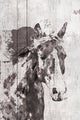 Marmont Hill, "Scarlet Horse 1" by Irena Orlov Painting on Wrapped Canvas, 16x24