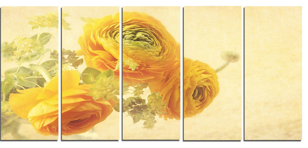 Bunch of Yellow Ranunculus Flowers, Floral Canvas Print, 60"x28", 5 Panels