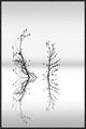 "Trees With Birds (2)" Framed Canvas Giclee by George Digalakis, 25x37"