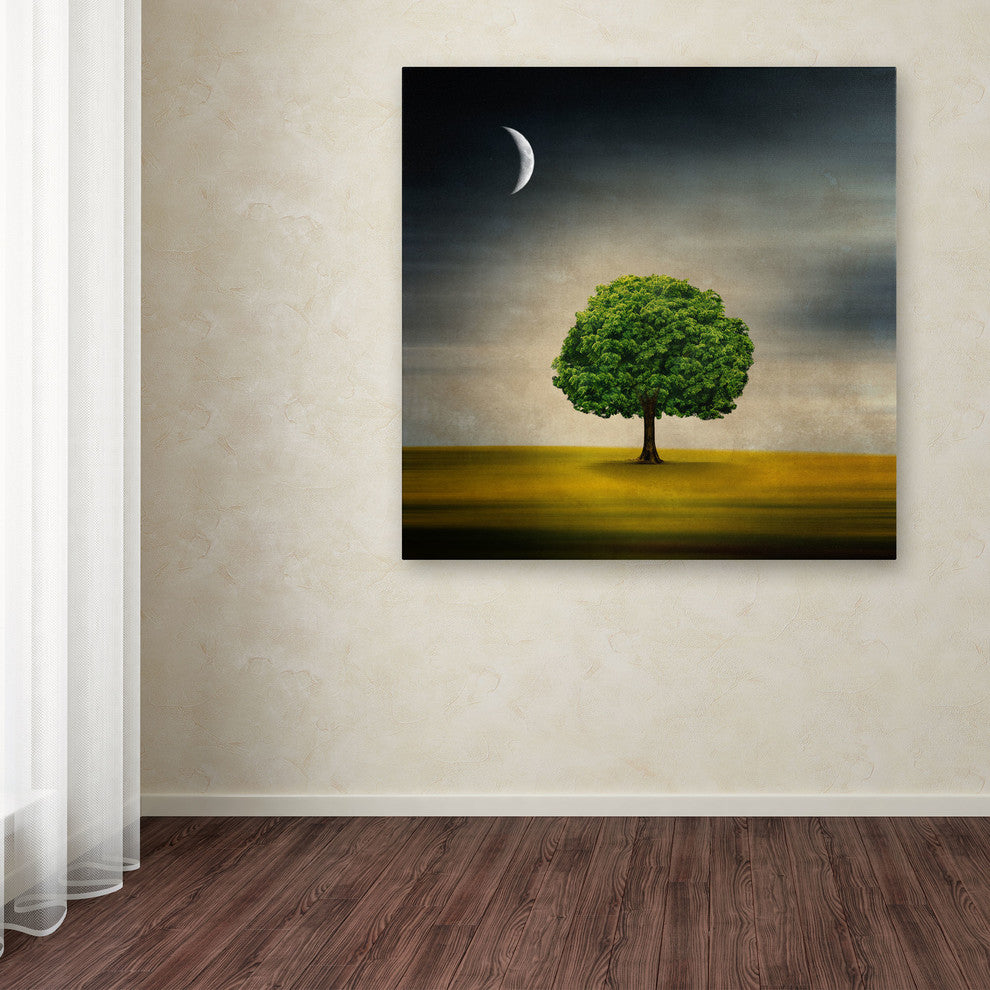 'Under the Moon' Canvas Art by Philippe Sainte-Laudy