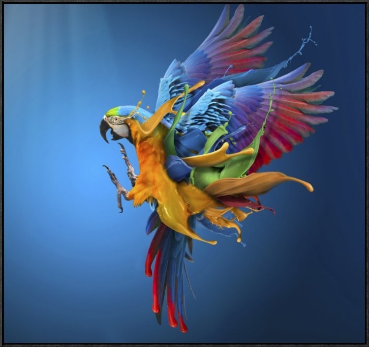 Flying Colours, 36"x34"
