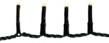 600 Light, 49' Warm White LED Rice Light Set