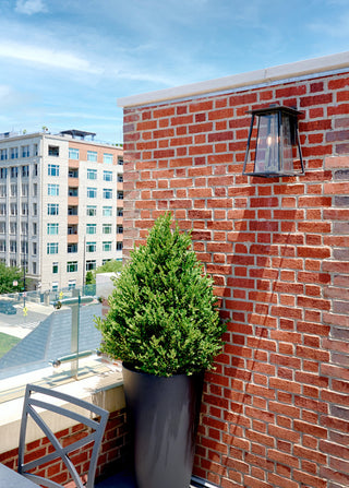 Hinkley Walker Medium Wall Mount Lantern, Buckeye Bronze