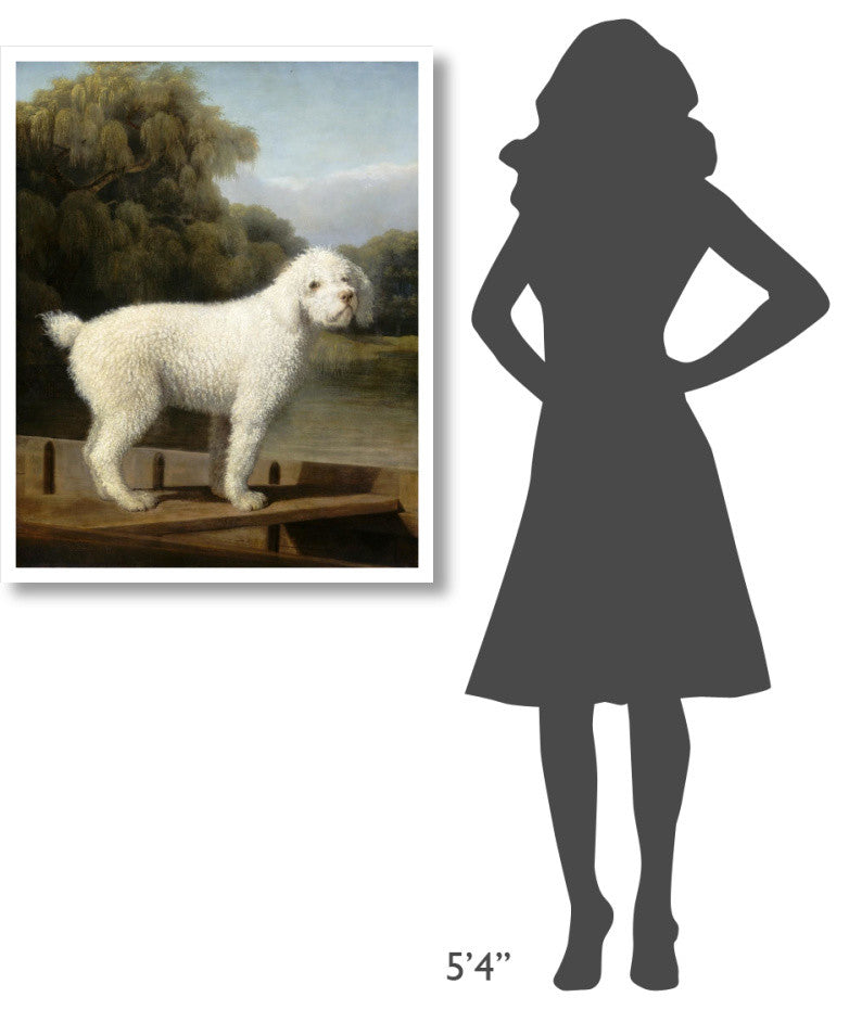 "White Poodle in a Punt, c. 1780" Digital Paper Print by George Stubbs, 30"x37"