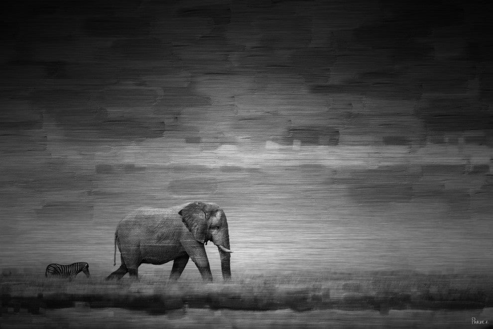 "Elephant" UV Ink Print on Brushed  Aluminum, 45"x30"